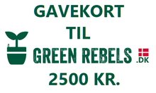 Ladda upp bild till gallerivisning, Gavekort til Green Rebels på 2500 kr

