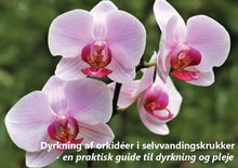 Ladda upp bild till gallerivisning, Gratis guide til dyrkning af orkidéer i selvvandingskrukker - Green Rebels
