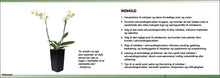 Ladda upp bild till gallerivisning, Gratis guide til dyrkning af orkidéer i selvvandingskrukker - Green Rebels
