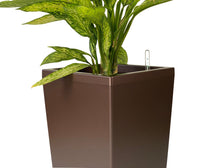 Ladda upp bild till gallerivisning, kæmpe plantekrukke - klassisk design - med selvvanding - brun

